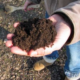 The Dish on Dirt Image